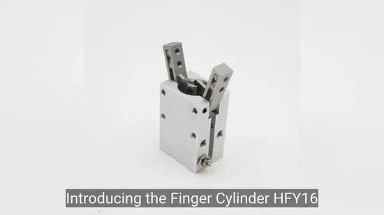Factory Supply Pneumatic Cylinder Hls12 with Complet Service